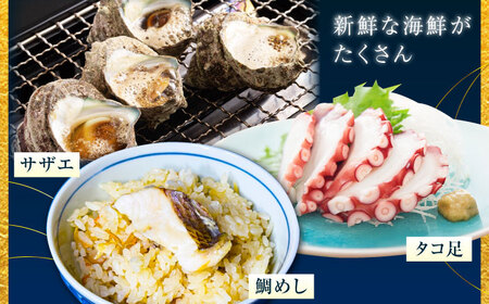 海鮮 旬の海の幸 寄附額1万円相当 海鮮[XBY004]