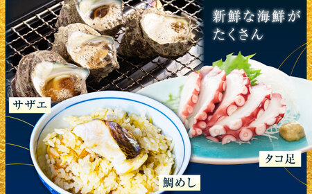 海鮮 旬の海の幸 寄附額2万円相当 海鮮[XBY005]