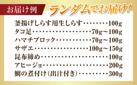 海鮮 旬の海の幸 寄附額2万円相当 海鮮[XBY005]
