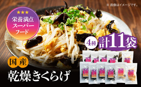 きくらげ ぷりこりセット計11袋 きくらげ[XCB002]