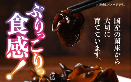 きくらげ 黒セット計4袋 きくらげ[XCB004]