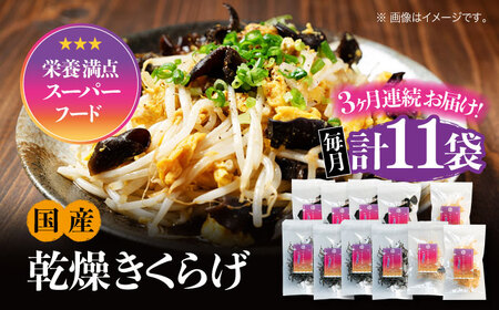 【全3回】きくらげ ぷりこりセット計11袋 きくらげ[XCB009]