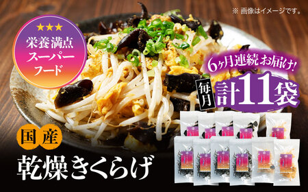 【全6回】きくらげ ぷりこりセット計11袋 きくらげ[XCB010]