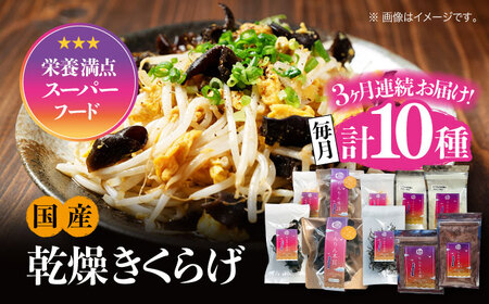 【全3回】きくらげ よくばりセット計10袋 きくらげ[XCB012]
