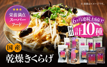 【全6回】きくらげ よくばりセット計10袋 きくらげ[XCB013]