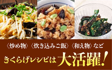 【全6回】きくらげ よくばりセット計10袋 きくらげ[XCB013]