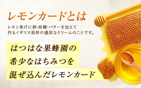 はちみつ 檸檬の初恋1本 はちみつ[XCD001]