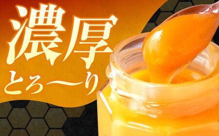 はちみつ 檸檬の初恋1本 はちみつ[XCD001]