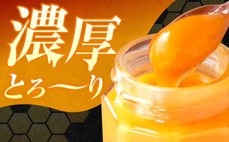 はちみつ 檸檬の初恋3本 はちみつ[XCD002]