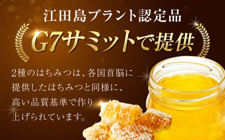 はちみつ 2種3本 はちみつ[XCD007]
