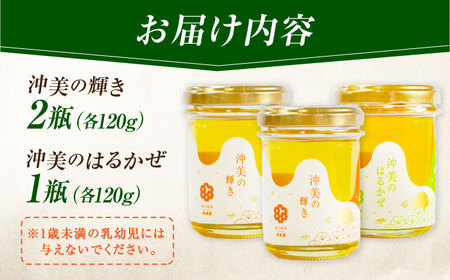 はちみつ 2種3本 はちみつ[XCD007]