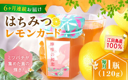 【全6回】はちみつ 檸檬の初恋1本 はちみつ[XCD013]