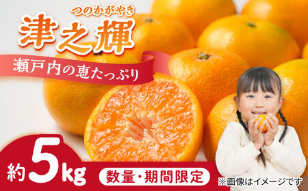 みかん 津之輝5kg みかん[XCE004]