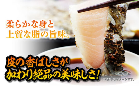 【ふるなびWEEK対象】鰆の炙り 5人前 海鮮 鰆[XCK001] FN-Limited-PR