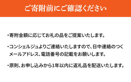 広島県江田島市 コンシェルジュ 30万円 コンシェルジュ[XZZ002]
