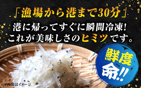 【お歳暮対象】しらす 冷凍 シラス 生しらすのプリッした食感と塩味が抜群！生しらす50gX5個 冷凍 シラス しらす 鮮魚 ギフト 海鮮丼 広島県産 江田島市/三島水産株式会社[XCN002]しらす冷凍シラス小分けしらす