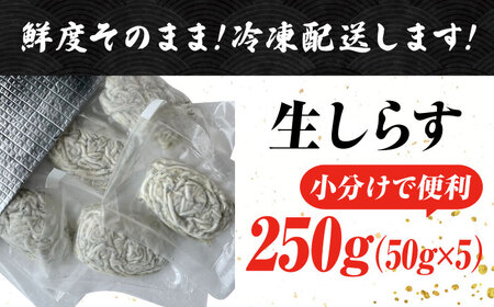 【お歳暮対象】しらす 冷凍 シラス 生しらすのプリッした食感と塩味が抜群！生しらす50gX5個 冷凍 シラス しらす 鮮魚 ギフト 海鮮丼 広島県産 江田島市/三島水産株式会社[XCN002]しらす冷凍シラス小分けしらす