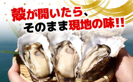 冷凍牡蠣 殻付き4kg 牡蠣[XAO031]