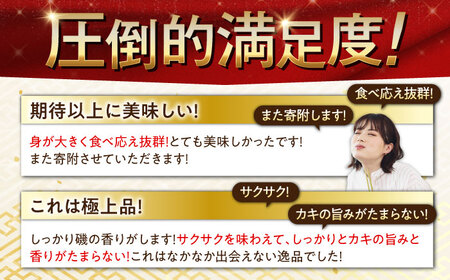 冷凍牡蠣 カキフライ60個 牡蠣[XAO036]