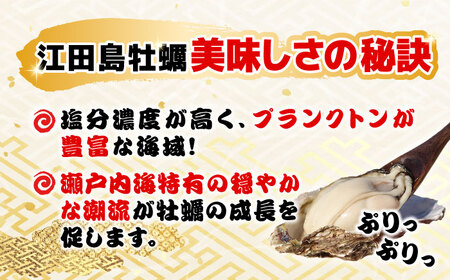 牡蠣 冷凍 新鮮牡蠣の極上カキフライ！【瞬間冷凍】広島牡蠣 カキフライ80個 牡蠣 かき 料理 簡単 魚介類 海鮮 ギフト 広島県産 江田島市/株式会社門林水産[XAO037]牡蠣冷凍かきカキ牡蠣カキフライ