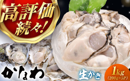 生牡蠣むき身1kg 牡蠣[XBP004]
