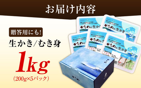 生牡蠣むき身1kg 牡蠣[XBP004]