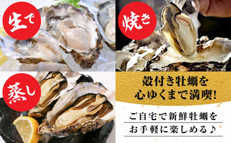 牡蠣 生食 広島牡蠣の老舗！安心・安全の新鮮牡蠣【生牡蠣】牡蠣 かき 殻付き 20個入り 生食用 魚介類 海鮮 広島県産 江田島市/株式会社かなわ[XBP008]牡蠣生食殻付きかきカキ牡蠣