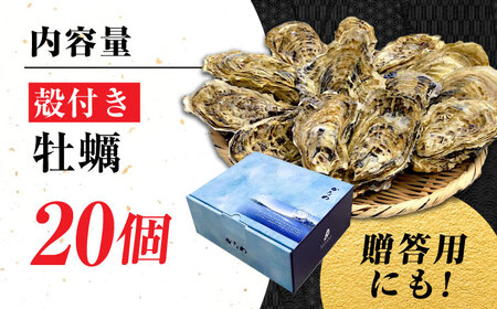 牡蠣 生食 広島牡蠣の老舗！安心・安全の新鮮牡蠣【生牡蠣】牡蠣 かき 殻付き 20個入り 生食用 魚介類 海鮮 広島県産 江田島市/株式会社かなわ[XBP008]牡蠣生食殻付きかきカキ牡蠣