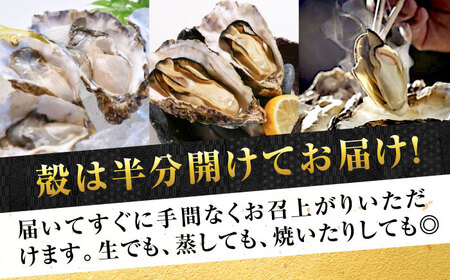 牡蠣 生食 広島牡蠣の老舗！安心・安全の新鮮牡蠣【生牡蠣】牡蠣 かき 殻付き 開殻 ハーフシェルオイスター 12個入 生食用 魚介類 海鮮 広島県産 江田島市/株式会社かなわ[XBP010]牡蠣生食殻付きかきカキ牡蠣