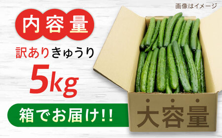 訳ありきゅうり 5kg Lサイズ きゅうり[XCA002]