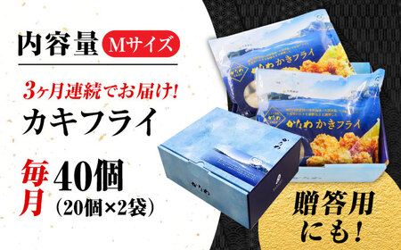 【全3回定期便】牡蠣 冷凍 カキフライ かき カキ 広島牡蠣の老舗！安心・安全の新鮮牡蠣【瞬間冷凍】牡蠣 かきフライMサイズ 40個入り 魚介類 和食 海鮮 海産物 広島県産 江田島市/株式会社かなわ[XBP045]