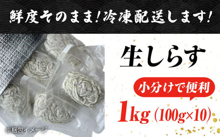 冷凍生しらす100g×10個 しらす[XCN006] | 広島県江田島市