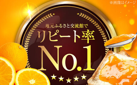 ネーブルマーマレード 大2個 ジャム マーマレード[XAI006]