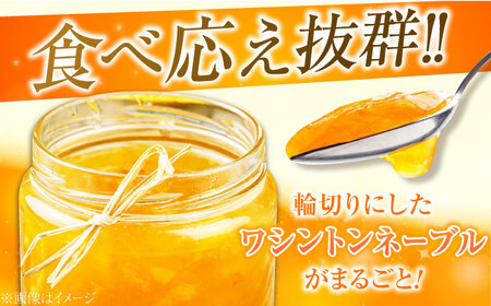 ネーブルマーマレード 大2個 ジャム マーマレード[XAI006]