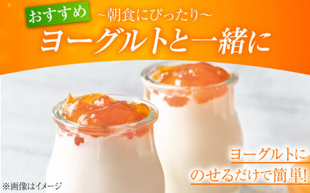 ネーブルマーマレード 大2個 ジャム マーマレード[XAI006]