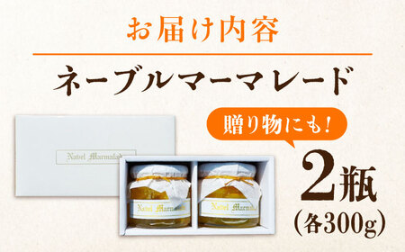ネーブルマーマレード 大2個 ジャム マーマレード[XAI006]