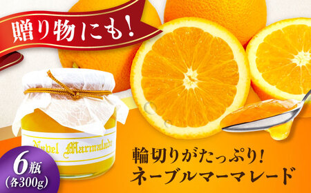 ネーブルマーマレード 大6個 ジャム マーマレード[XAI008]