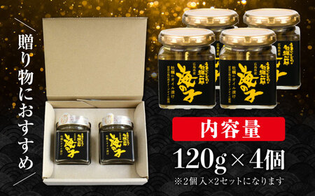 牡蠣オイル漬け 120g×2個セット 計4個 牡蠣[XAE058]