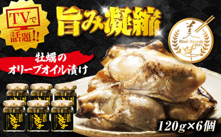 牡蠣オイル漬け 120g×3個セット 計6個 牡蠣[XAE059]