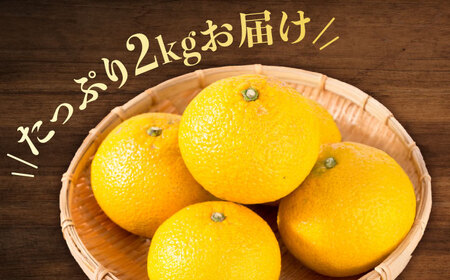 はっさく 八朔 2kg 小玉 みかん はっさく[XCX001]