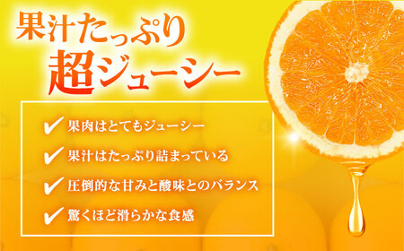 みかん 不知火 2kg しらぬい デコポン みかん[XCX002]