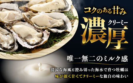 江田島ミルク牡蠣 真空パック 殻付カキ5個入り 2パック 人気 レンジ調理 簡単 レンジ 加熱用 かき 広島県産 カキ 貝付き牡蠣 海鮮 贈呈用 BBQ 濃厚 新鮮 蒸し牡蠣 丸杉水産/江田島市[XCY004]