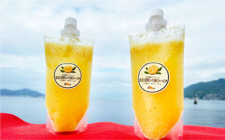 レモンシロップ 400ml×2個 レモン [XBY011]
