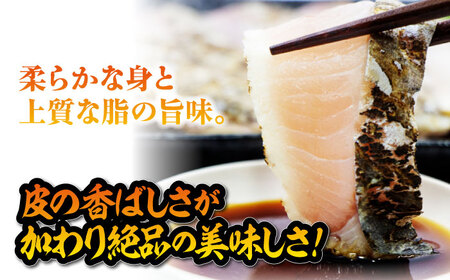 ふっくら香ばしい！鰆の炙り まろやかな旨味 柵セット 魚 冷凍 刺身 海鮮 西京焼き 簡単 新鮮 魚介 海鮮 急速冷凍 魚介類 江田島市/秋宝丸[XCK007]