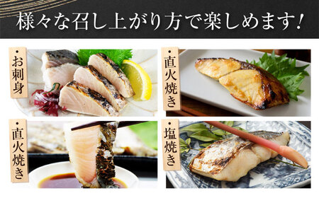 ふっくら香ばしい！鰆の炙り まろやかな旨味 柵セット 魚 冷凍 刺身 海鮮 西京焼き 簡単 新鮮 魚介 海鮮 急速冷凍 魚介類 江田島市/秋宝丸[XCK007]