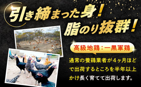 【全12回】鶏肉 一黒シャモ 約1kg 冷凍 [XAH010] 鶏肉