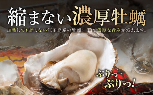 【訳あり】冷凍牡蠣 むき身M 1kg [XAE068] 牡蠣