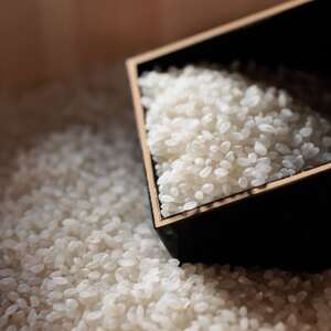 広島県産コシヒカリ　10kg【1254827】