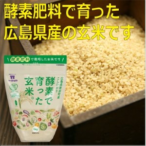 玄米と雑穀セット【1294709】