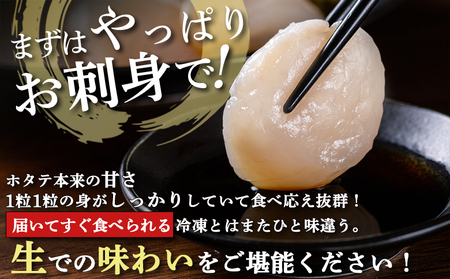 【関東限定！生ほたて】《期間限定》北海道雄武産 生玉ほたて500ｇ塩水パック（冷蔵）【07125】